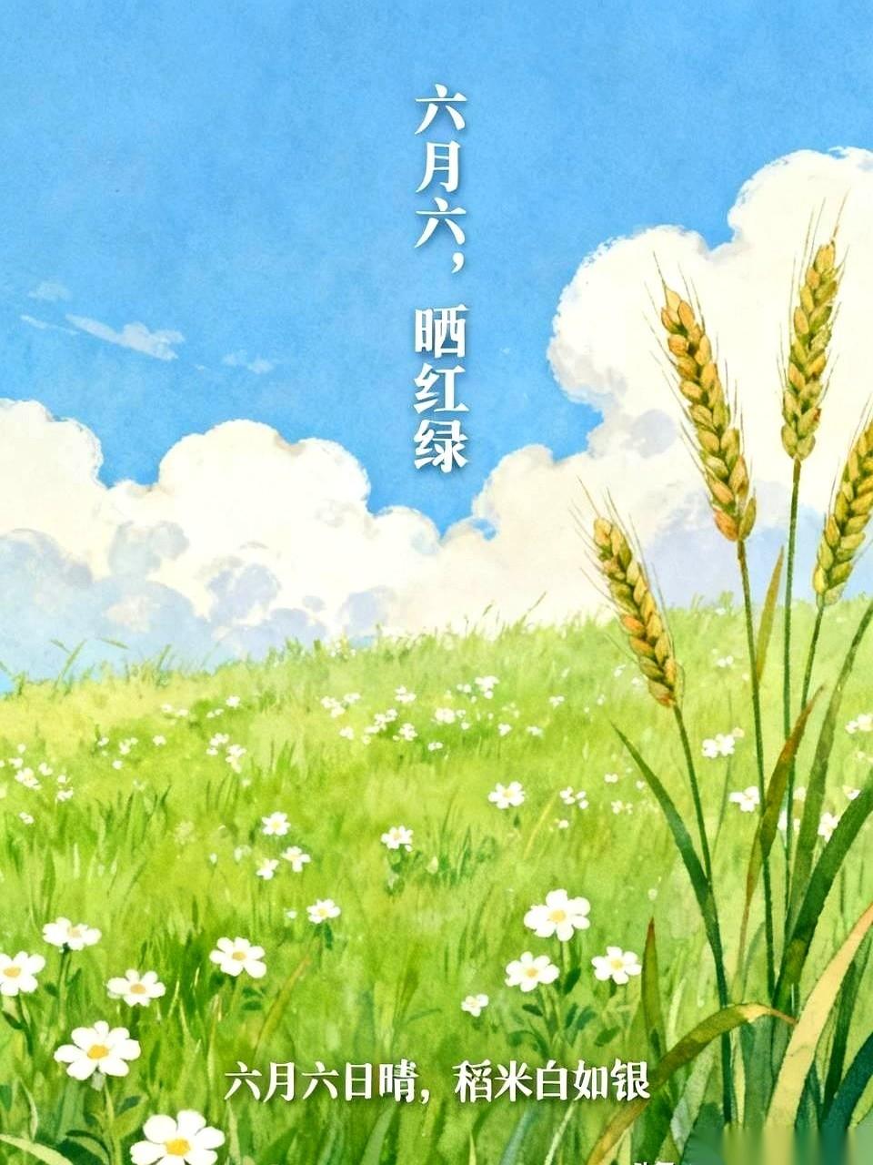 你在空调房里骂这破天热得要死，
却不知道，今天外头这毒太阳，其实是来救命的。
真