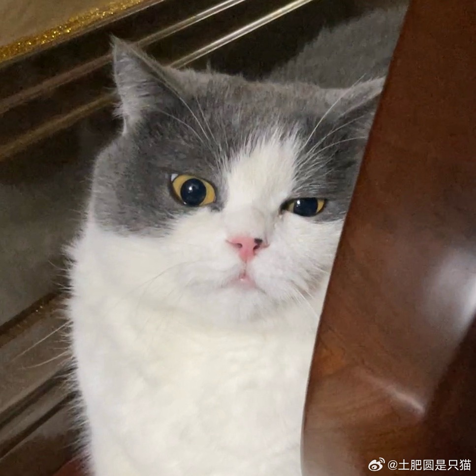 这种设计的牛仔裤，裤面上那道线，在裤子里面是凸起的……已经看到过好多次这种设计了