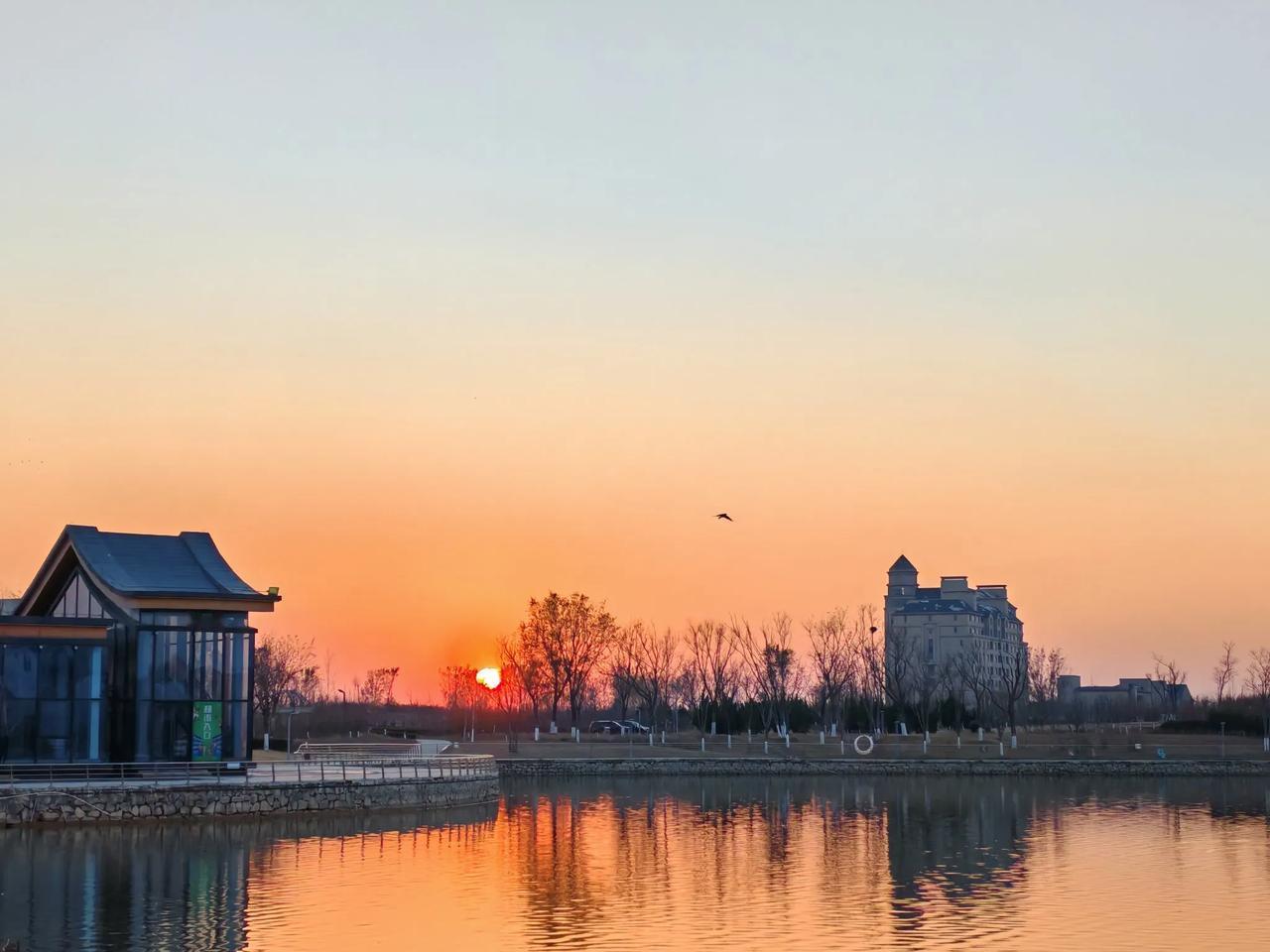 夕阳下的静谧湖畔，感受大自然的宁静与美好。
随手拍冬日晨曦 湖畔日落随拍