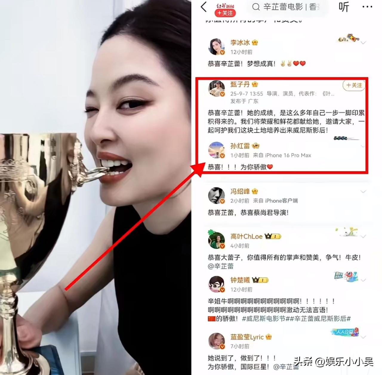 我如今总算搞懂了，

为何甄子丹给辛芷蕾写下那么多字的评论？

原来两人的渊源竟