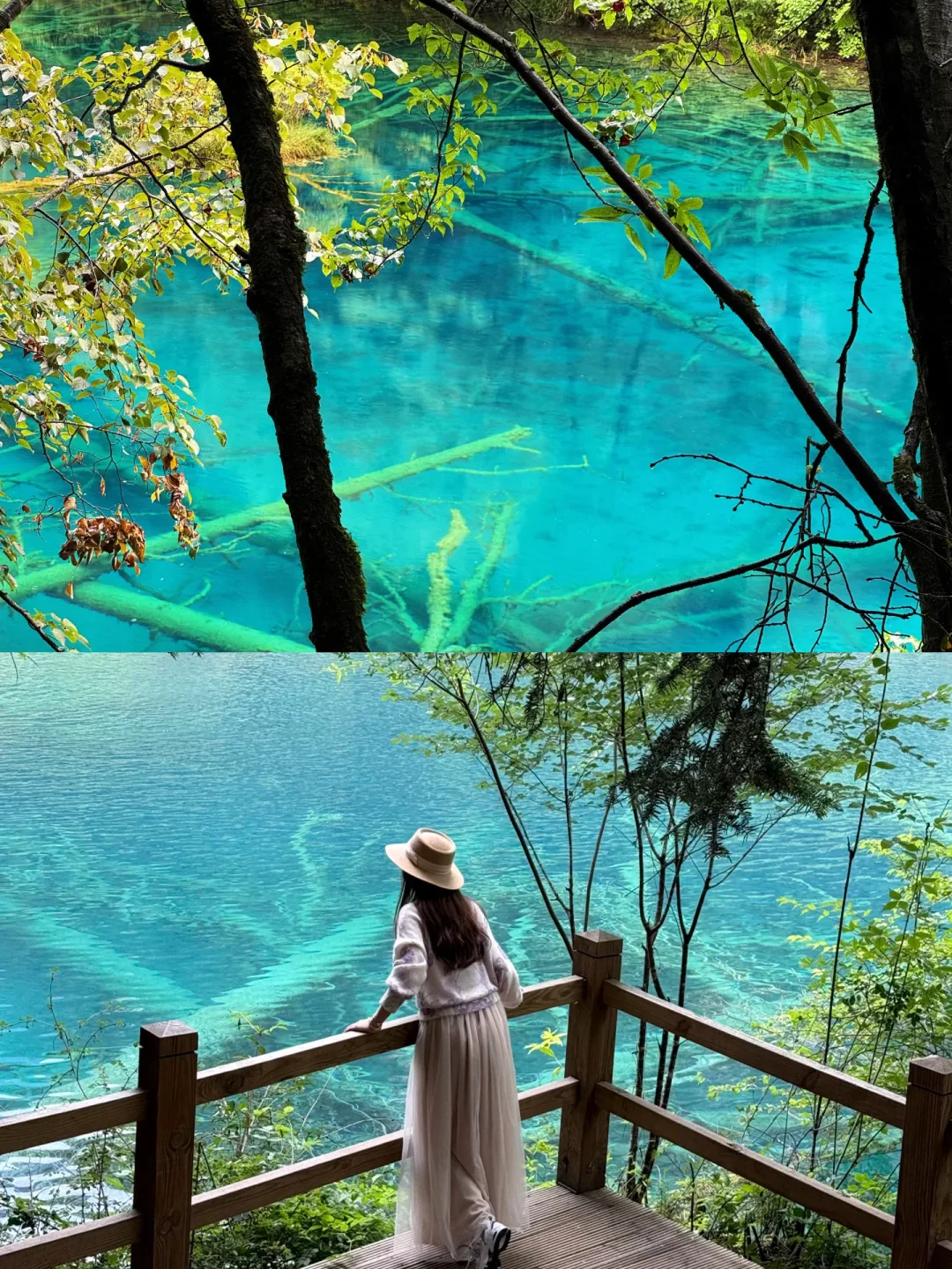 身临其境感受到了什么叫“九寨归来不看水”