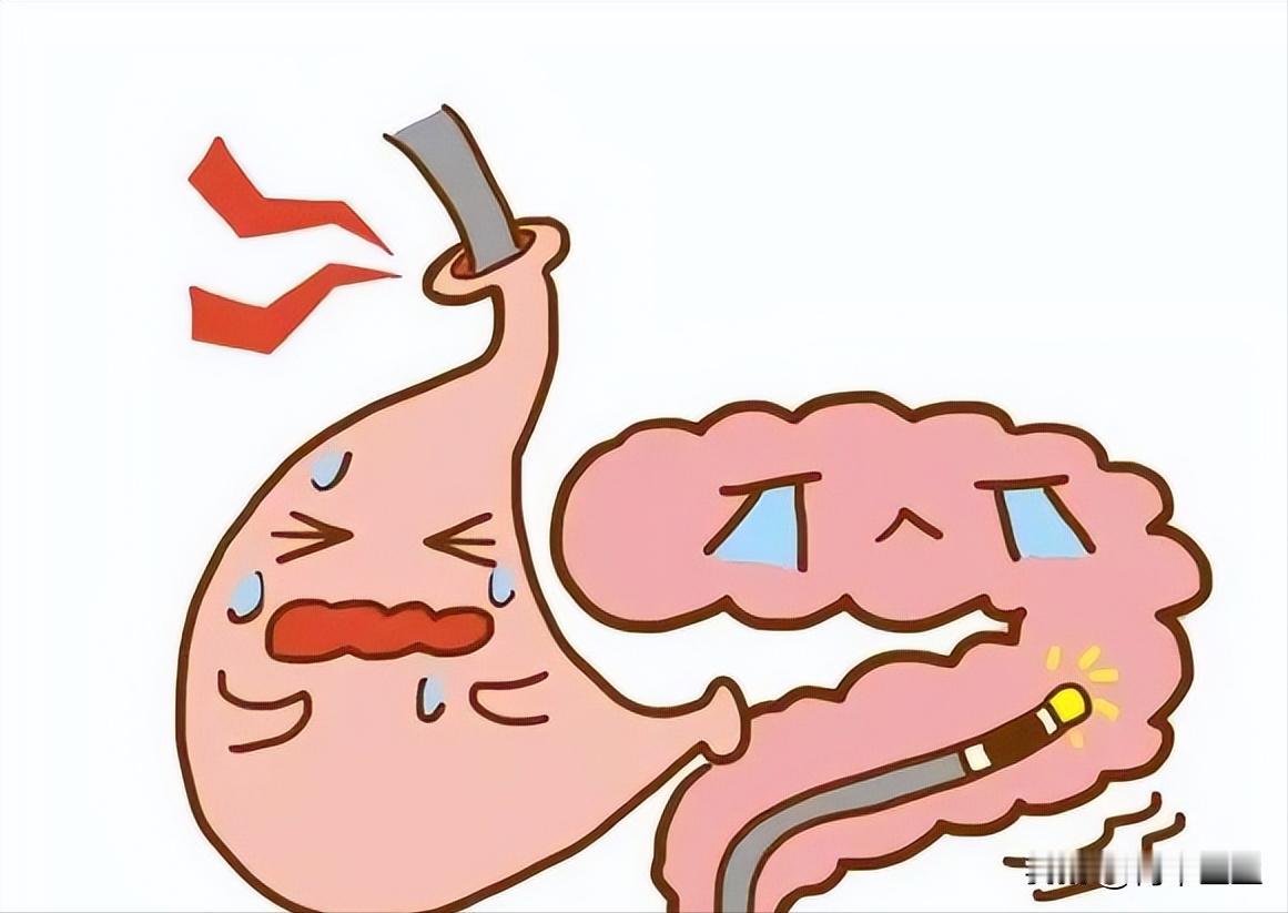 健脾中成药大合集，了解各种脾胃虚弱这一篇就够了

1. 人参健脾芄
主治脾胃虚弱