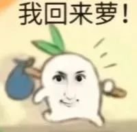 一直很好奇，有人做饭会用两片番茄三片黄瓜之类的蔬菜装饰，剩下的怎么处理啊 ​​​