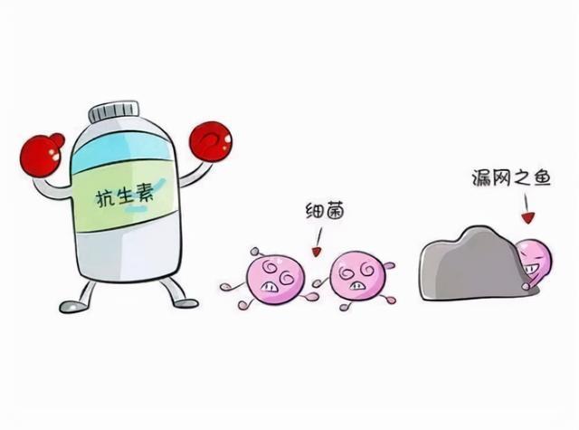 #健康真探社#【阿莫西林是消炎药？别再误以为是了！】阿莫西林，作为一种有着近百年