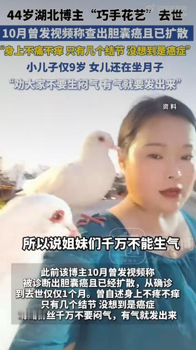 一位44岁的湖北博主“巧手花艺”突然离世的消息，让无数网友感到震惊和惋惜。她原本