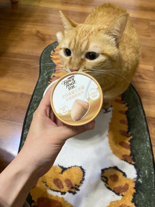 你去问问！谁家橘猫还会挑食的…