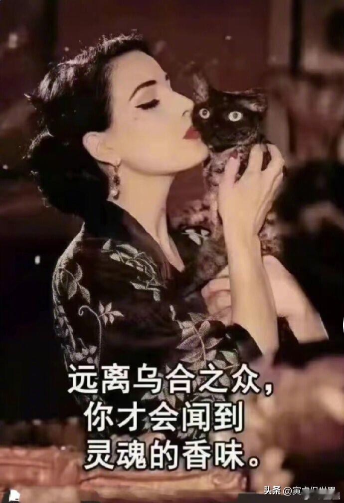 滚回美国吧彩虹旗君，继续嚯嚯你们自家人，中国不齿如此外来物种。看到金星只有两个字