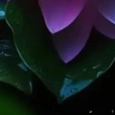 青春使人生盛开鲜花，理想使青春盛开鲜花，奋斗使理想盛开鲜花，勤奋使奋斗盛开鲜花。