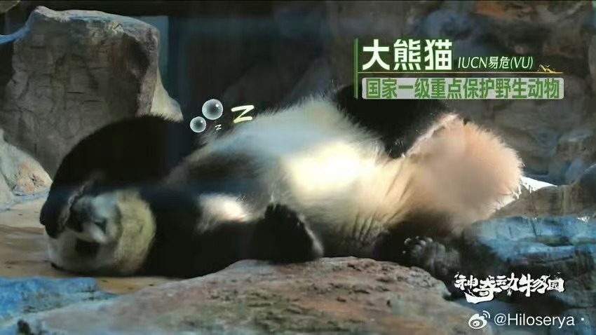 你们相亲都那么好笑吗相亲现场变脱口秀：“猫负责逗笑我妈。”从“三亩地”到“灵魂共