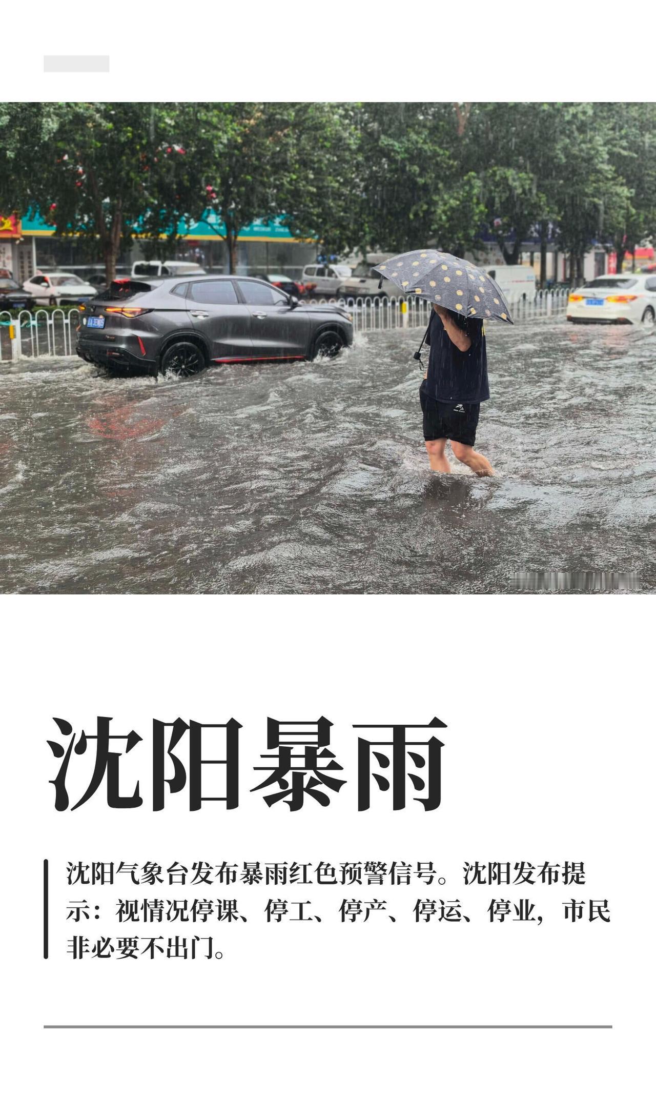 沈阳这波雨下得太狠了！13号凌晨5点多，气象台直接发了暴雨红色预警。和平、沈河、