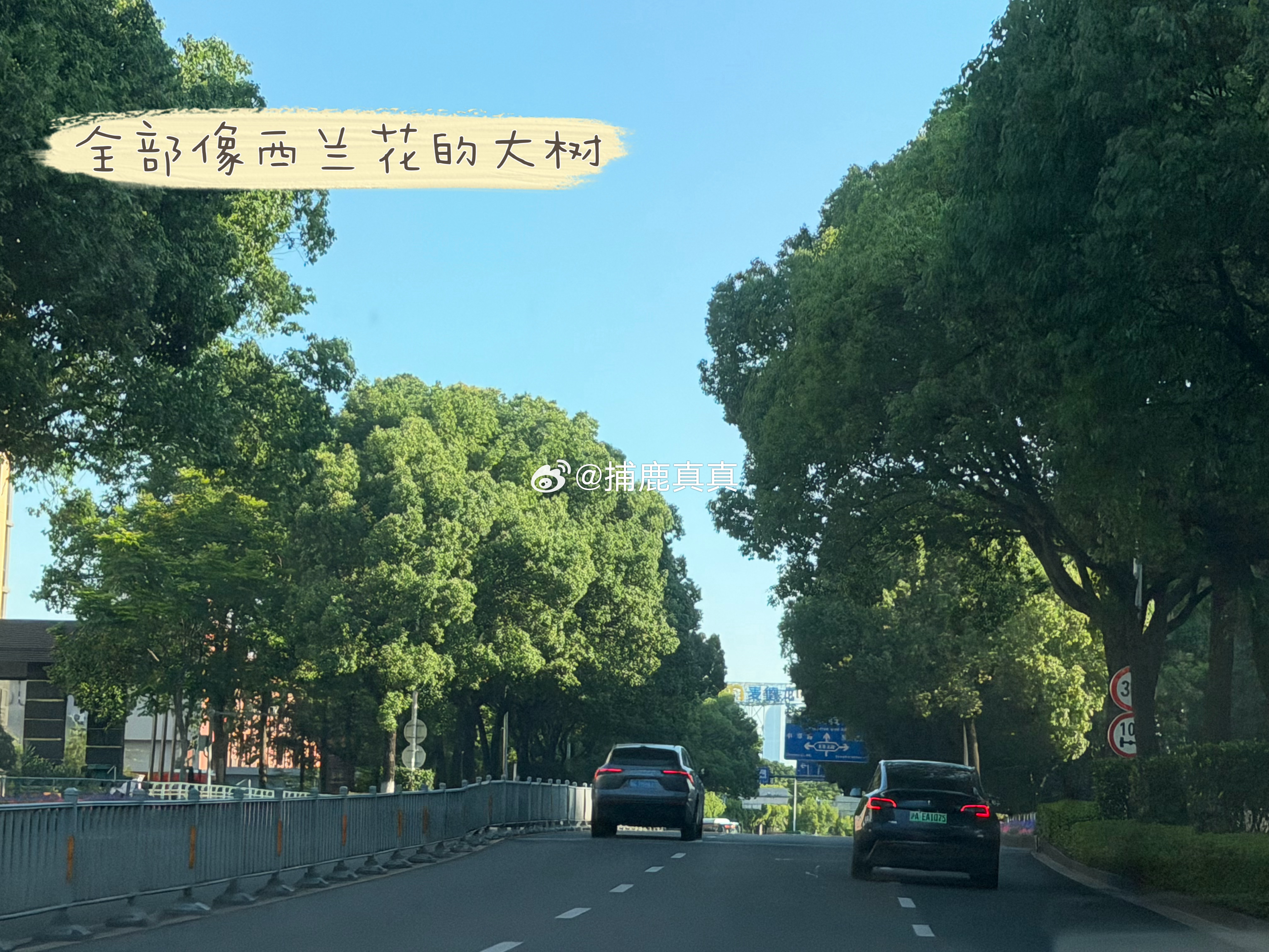 plog日记 超甜