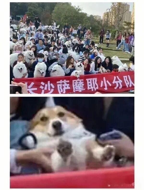 当你谎报了简历并得到了工作时