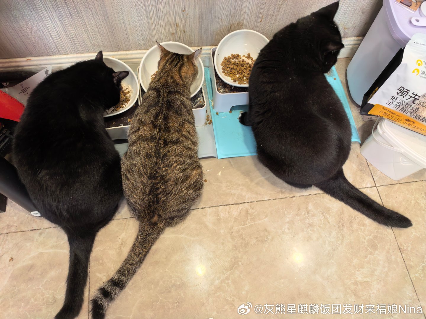 早起吃饭啦妮娜一家
