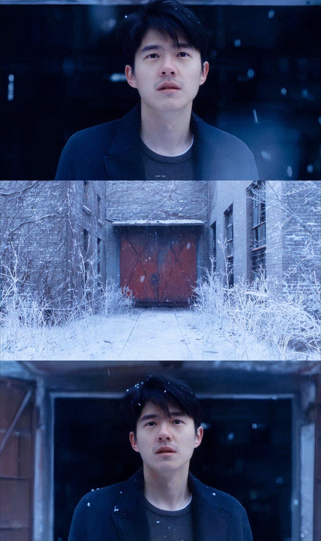 他再也没有去踢过球。仅此而已。电影我的朋友安德烈