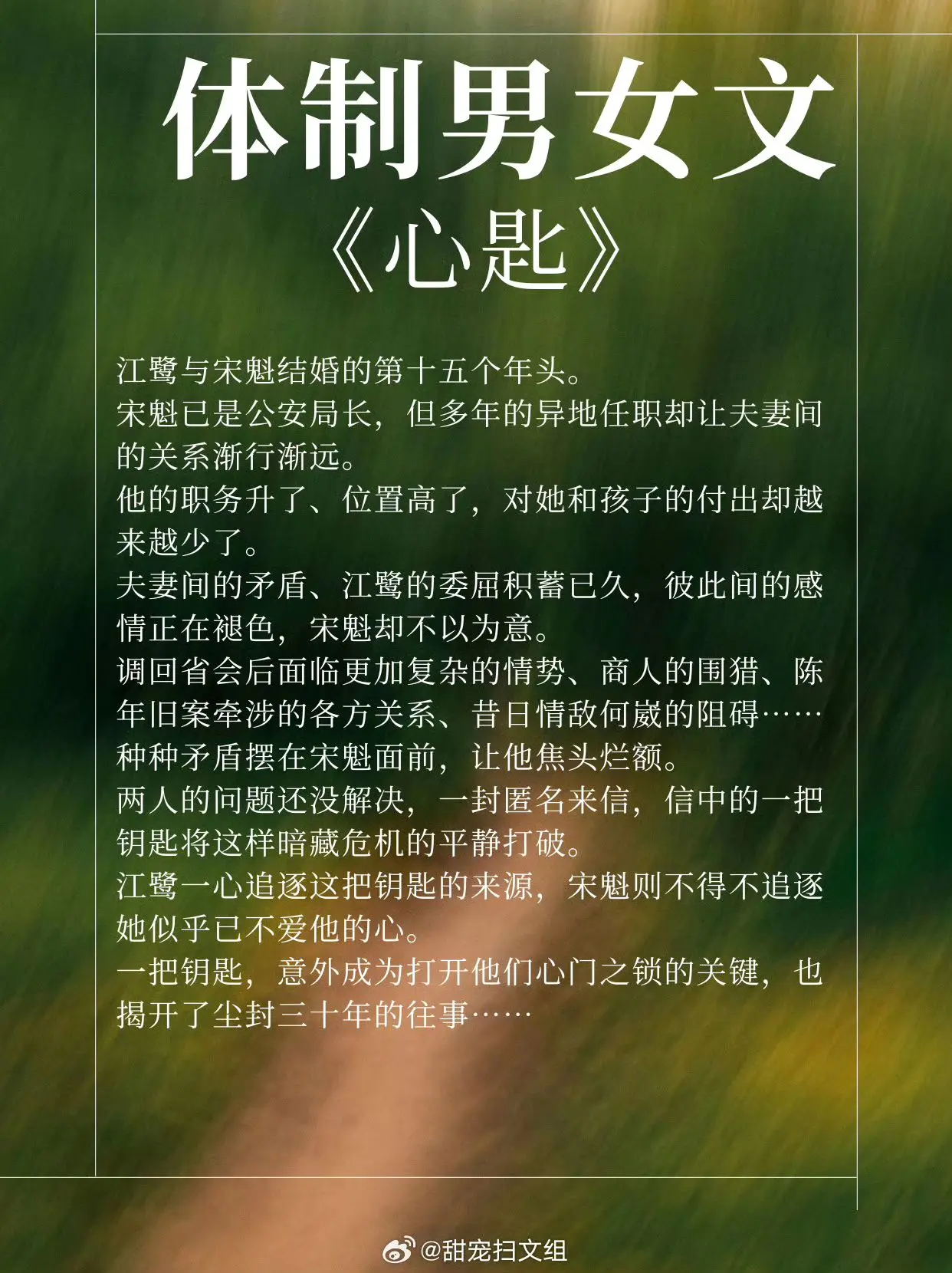 体制男女文，菜鸟小职员vs运筹帷幄男主，高干那些事儿！ 1、《心匙》作...