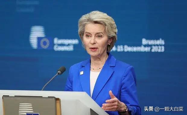 冯德莱恩：即便出现天然气短缺，欧盟也不会重新采购俄罗斯天然气

乌尔苏拉·冯德莱