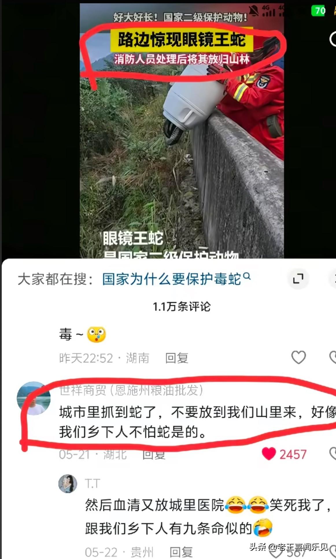 网友：城市里抓到蛇了，不要放到我们山里来，好像我们乡下人不怕蛇似的[捂脸][捂脸