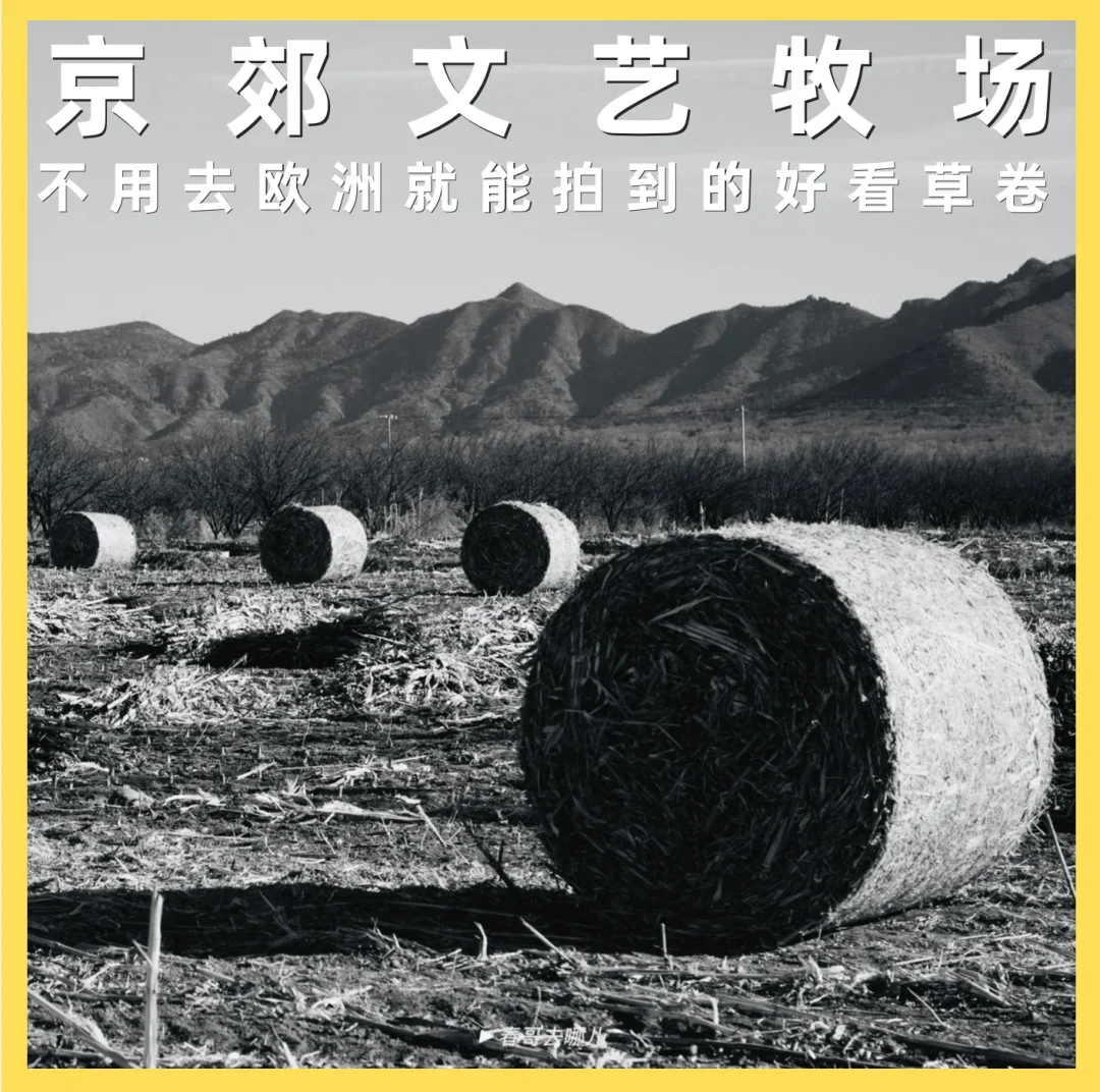 京郊拍照好去处：路边农田拍出欧洲牧场大片