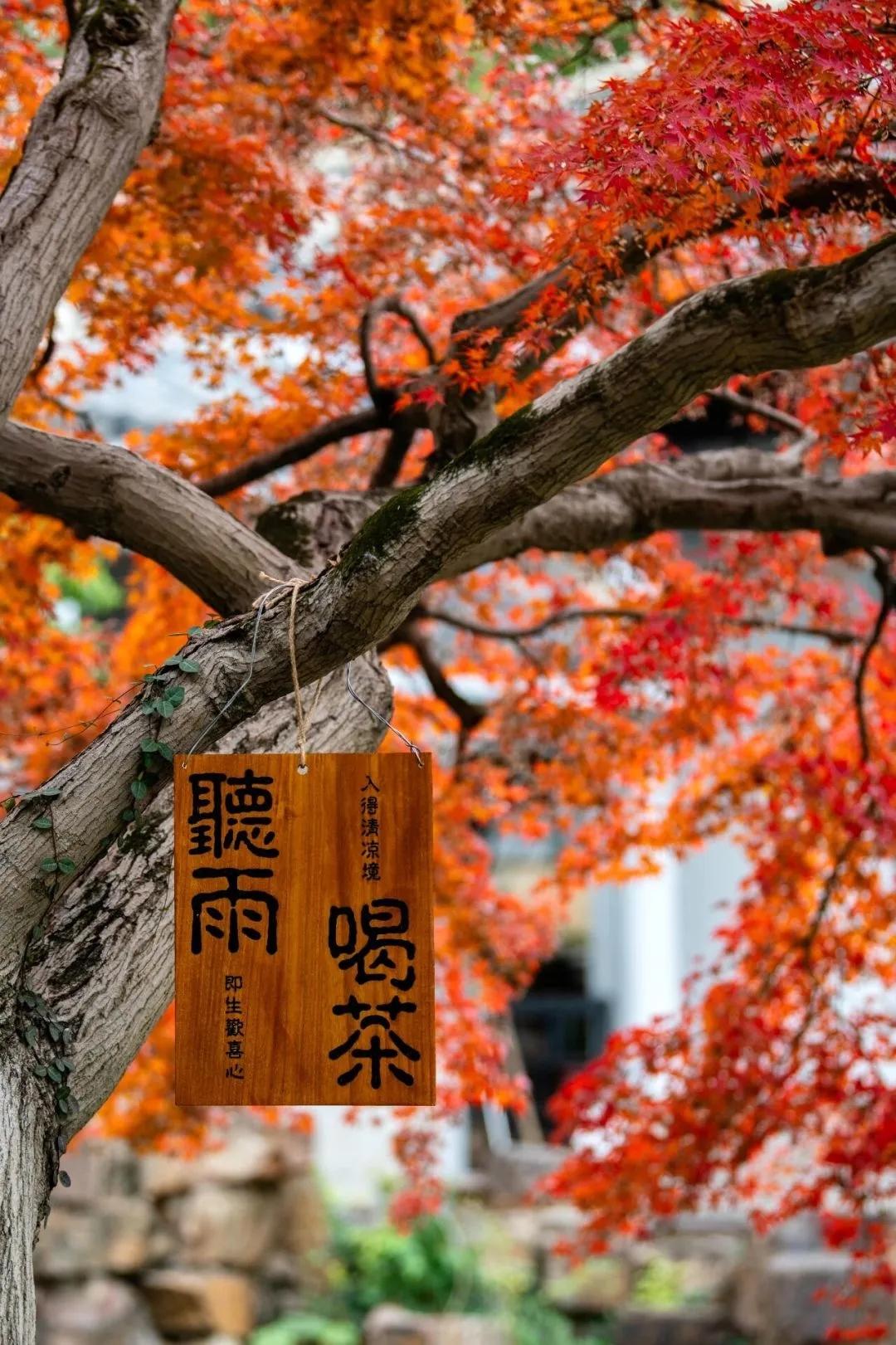 【盐和糖一样，不尝一尝，很难区别；人与人也是一样，很多东西，让时间说话，对了就好