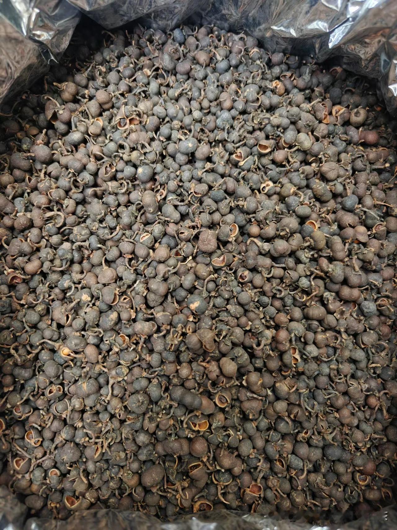 对于福鼎菜茶，我们从2012年便开始深耕收藏。
从原始茶籽培育，到原生茶树原叶，