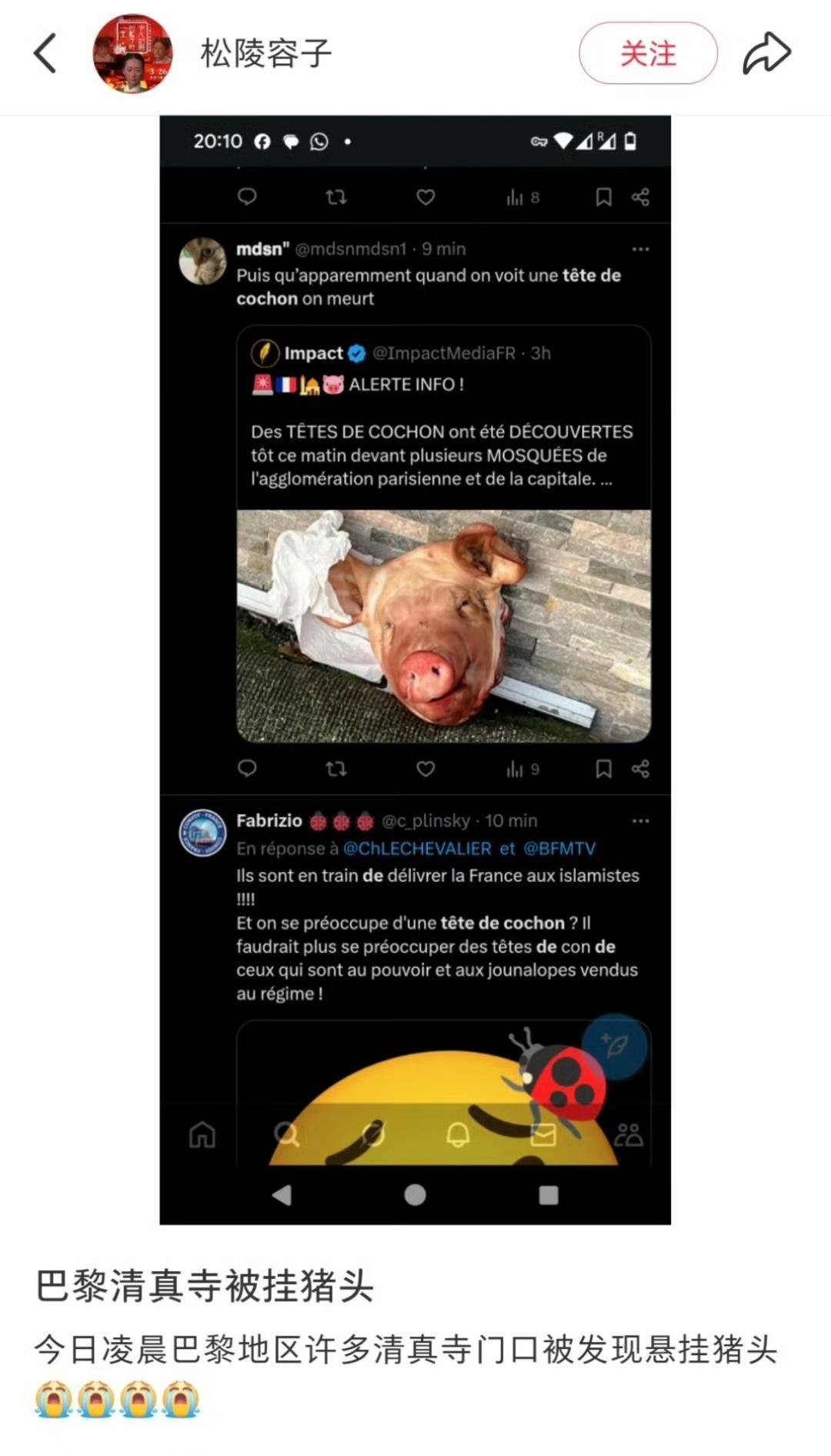 法国人至少挂了5个猪肉…不止法国，甚至是欧洲，澳大利亚，日本…现在反移民情绪非常