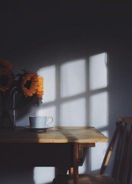 孤独和寂寞不一样。寂寞会发慌，孤独则是饱满的。——蒋勋《孤独六讲》 ​​​