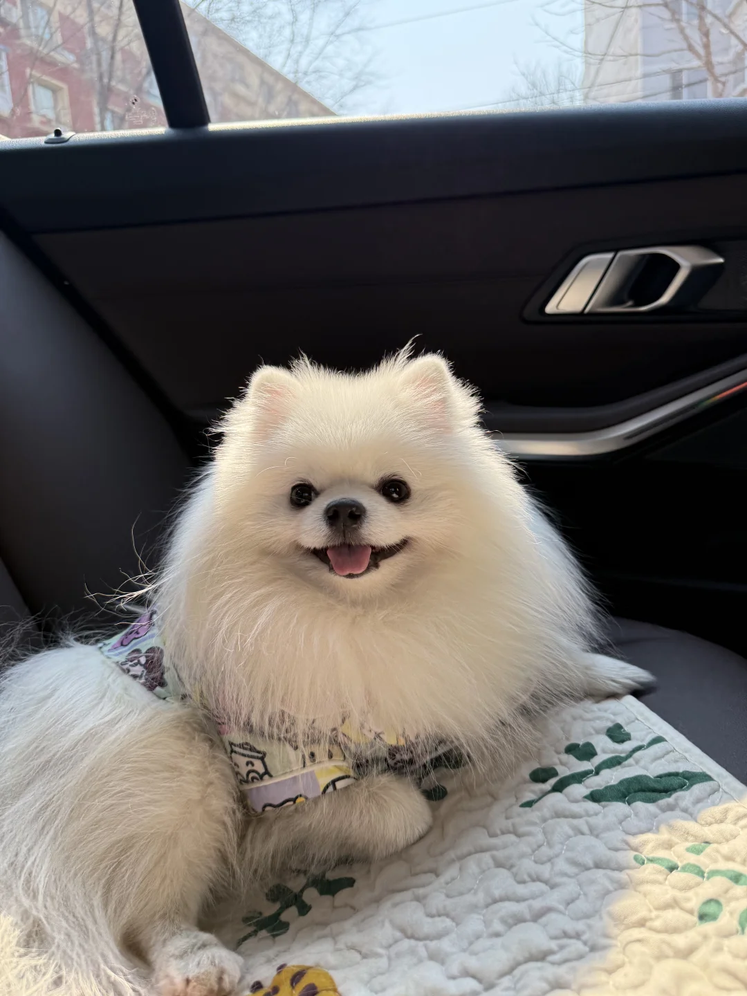 今天是噗噗顺畅的小抖~