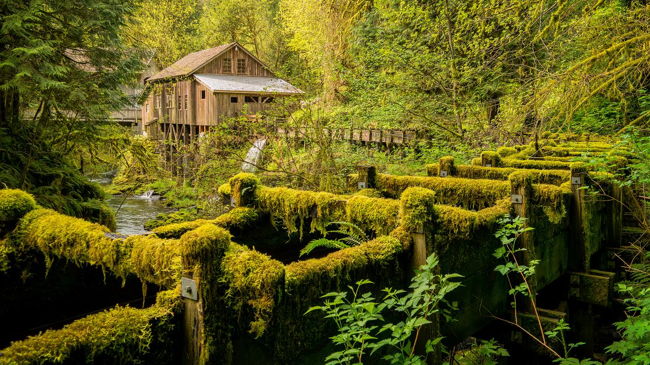 一位退休老人说：
把孙辈带大后，老人最聪明的选择，不一定是留下来。
很多老人都会