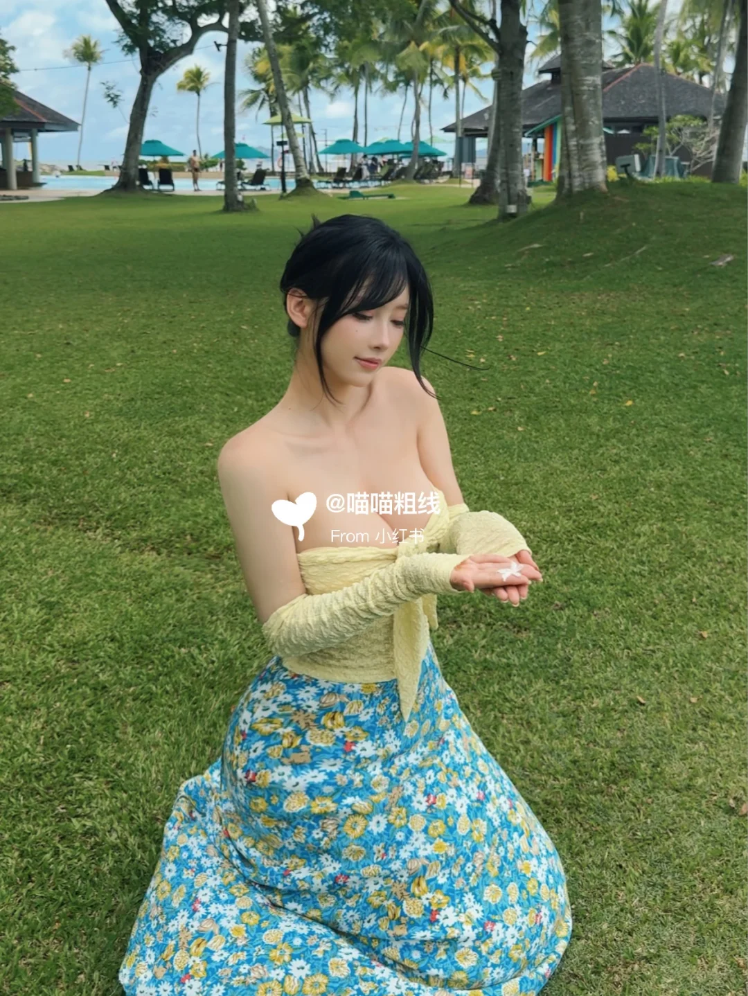 夏天的风