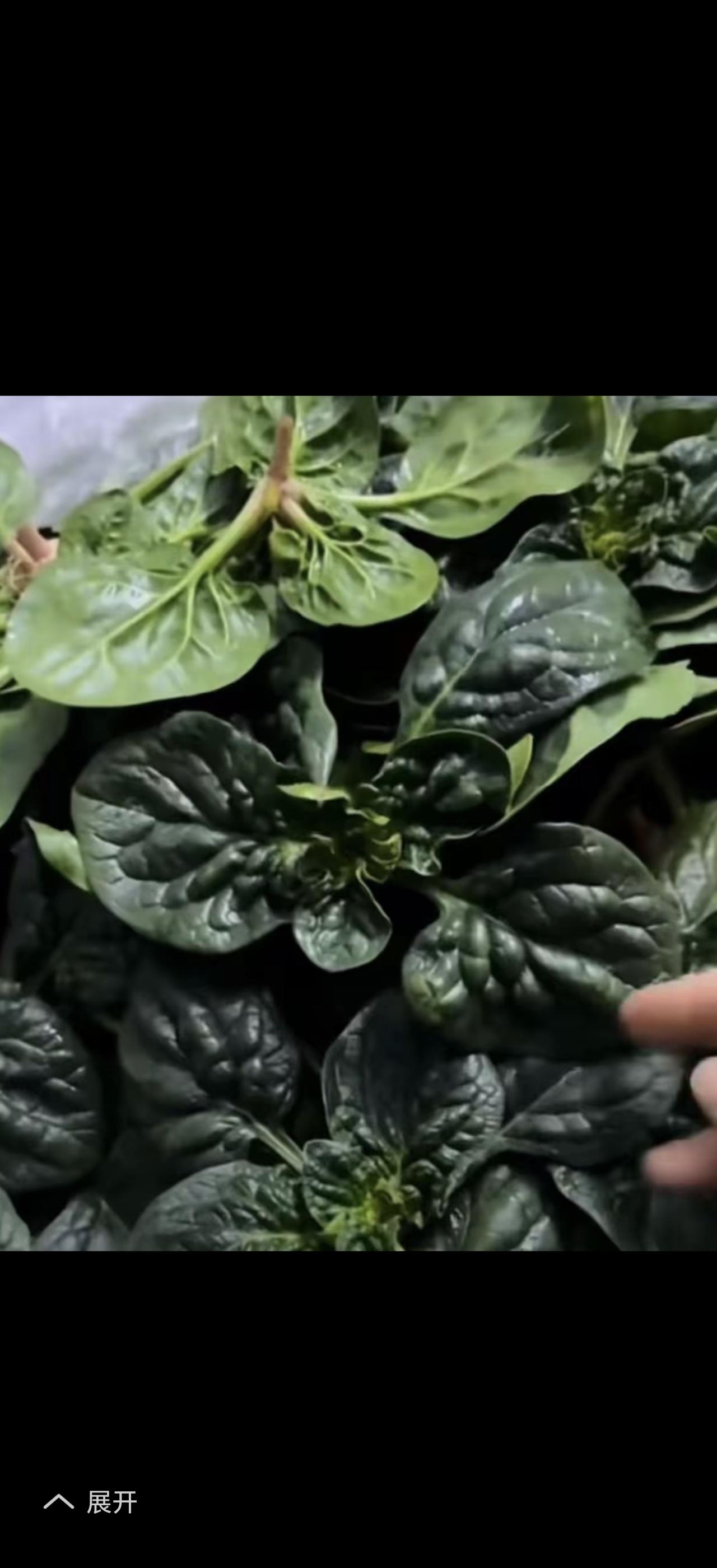 “好吃的就多吃点”，这话听着暖心，实则暗藏“杀机”。胃和肠的对话就揭示了真相，肠