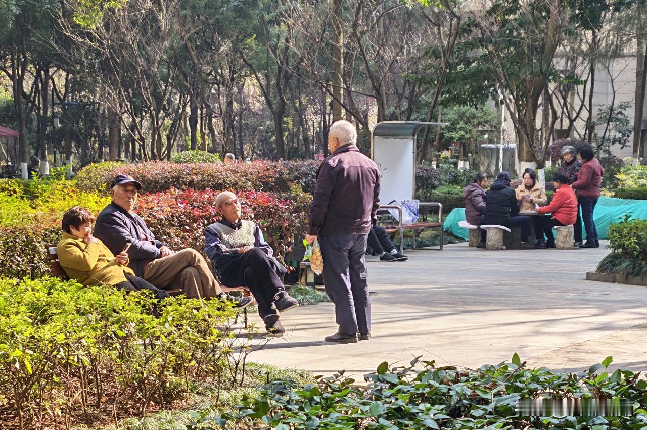 今天下午的天气很好，阳光灿灿烂，.冬日的暖阳，照在身上暖暖和和的，小区里的老爷子