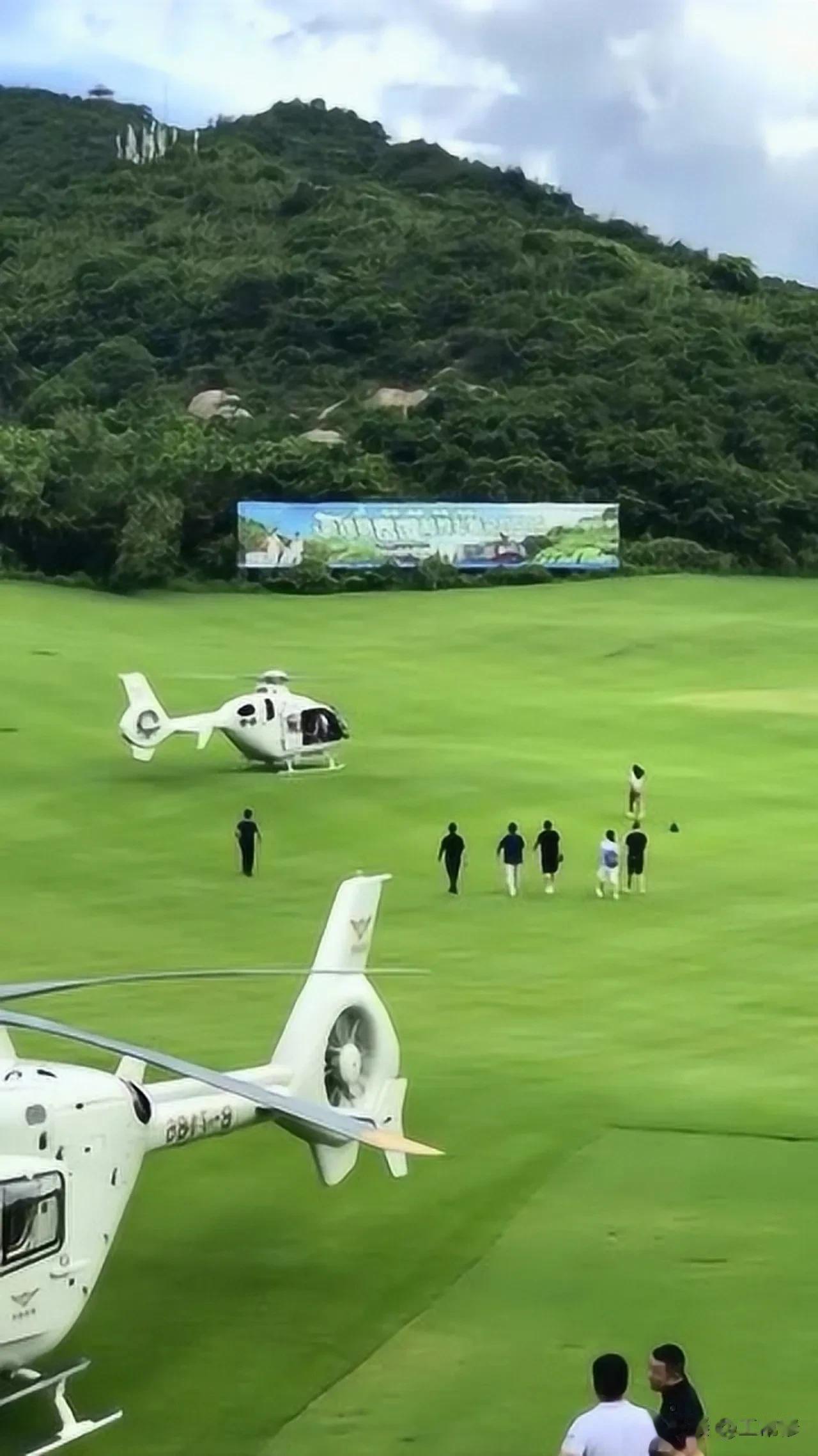 当前，“退林还耕”工作已经全面铺开，很多农村正在加急推进，无论怎么看都是一项好政