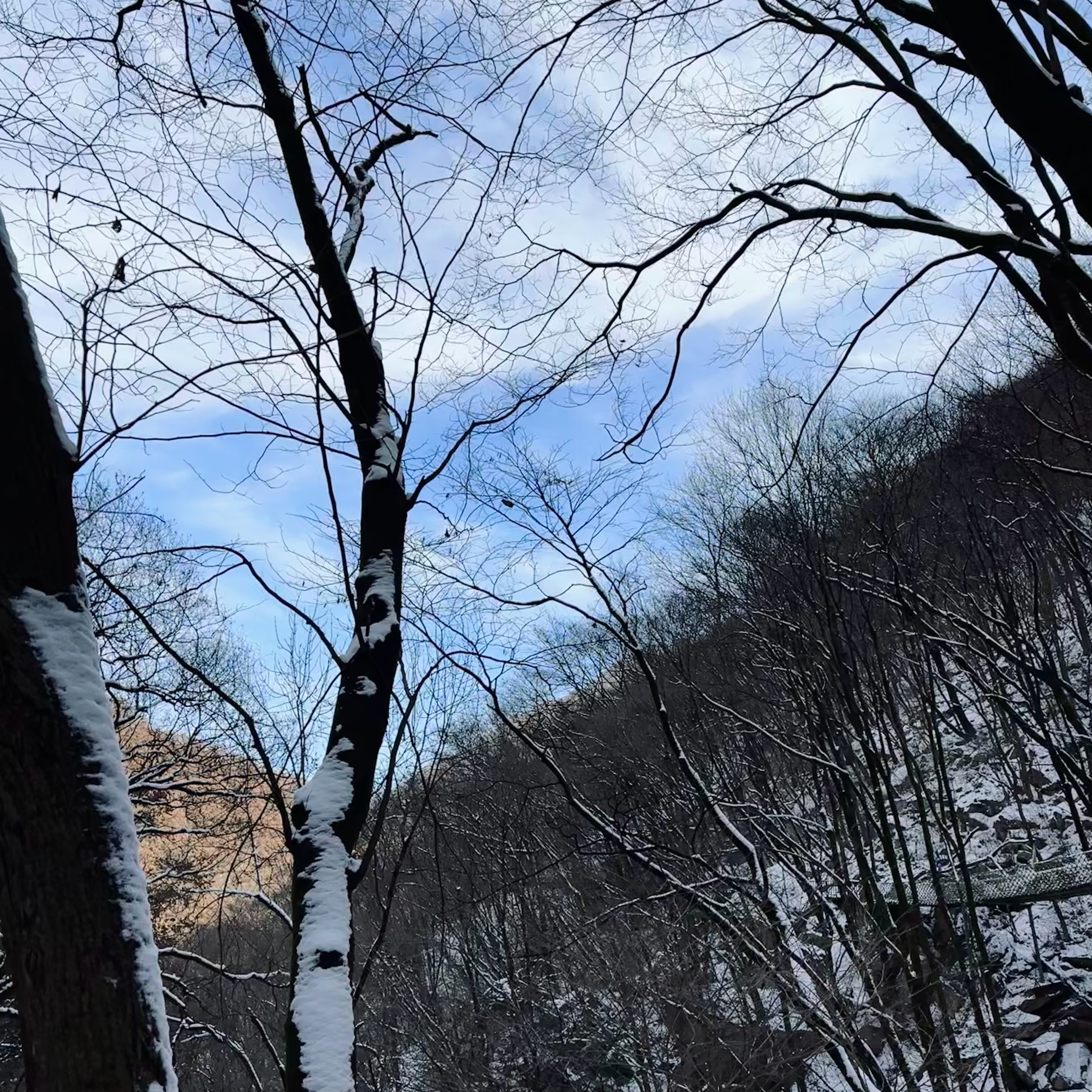 山不见我 我去见山 ​​​