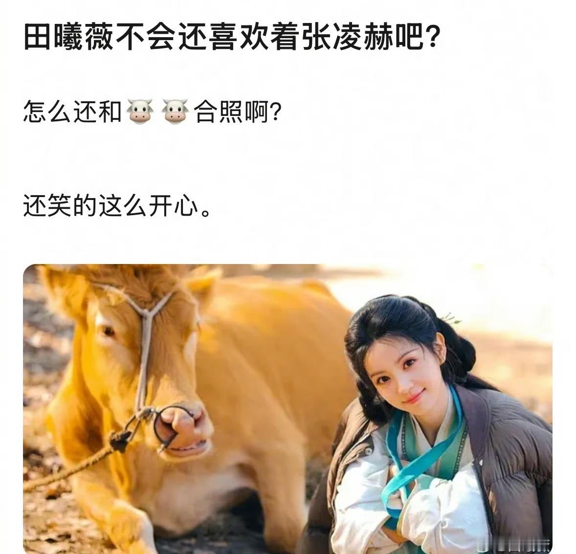 田曦薇和🐮合照后被说喜欢张凌赫，怎么评？让田曦薇演恶女的简直是天才