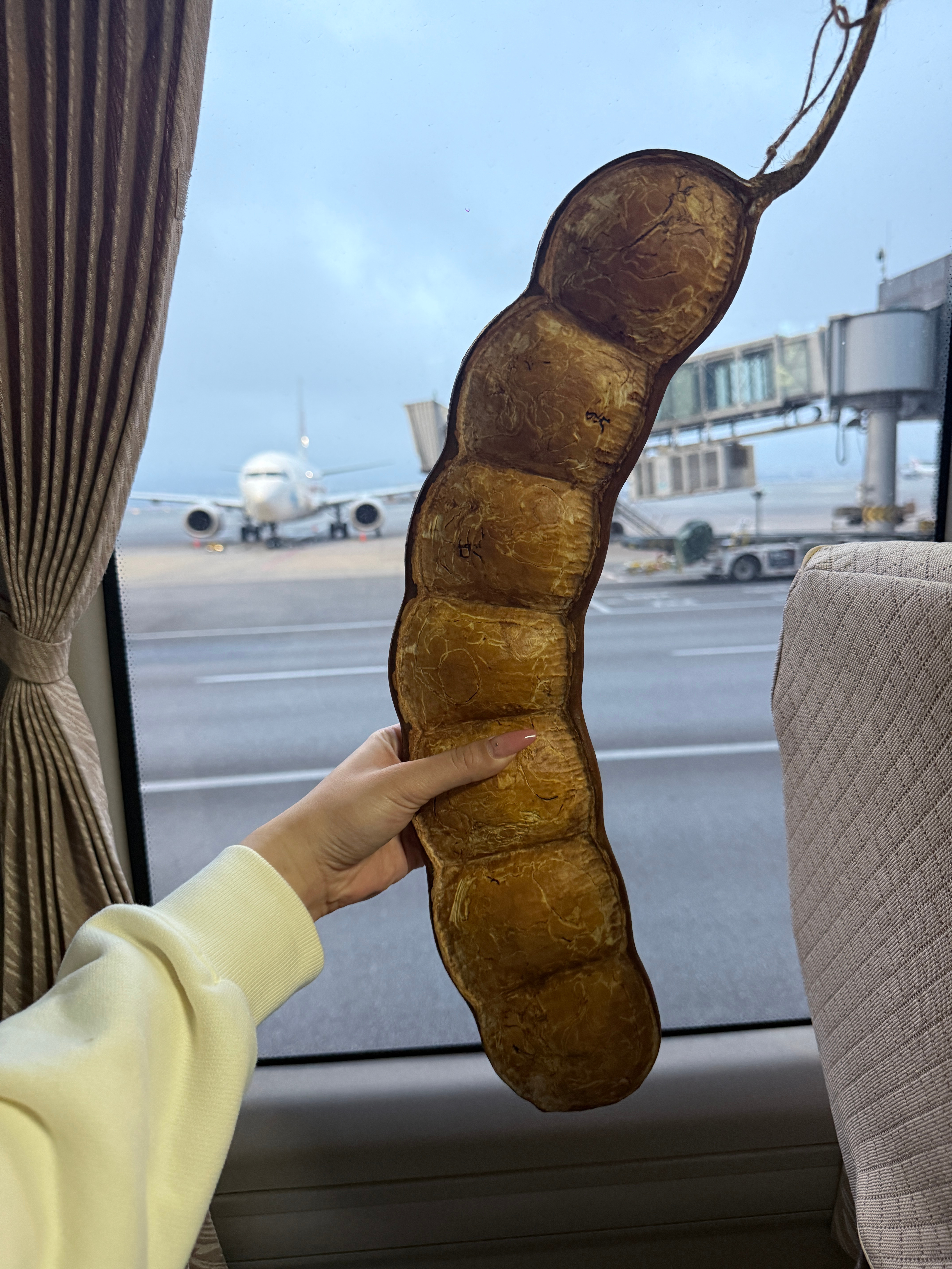 我勒个豆，跟你的云南老家说再见，我带你拿上海户口 昆明·昆明长水国际机场