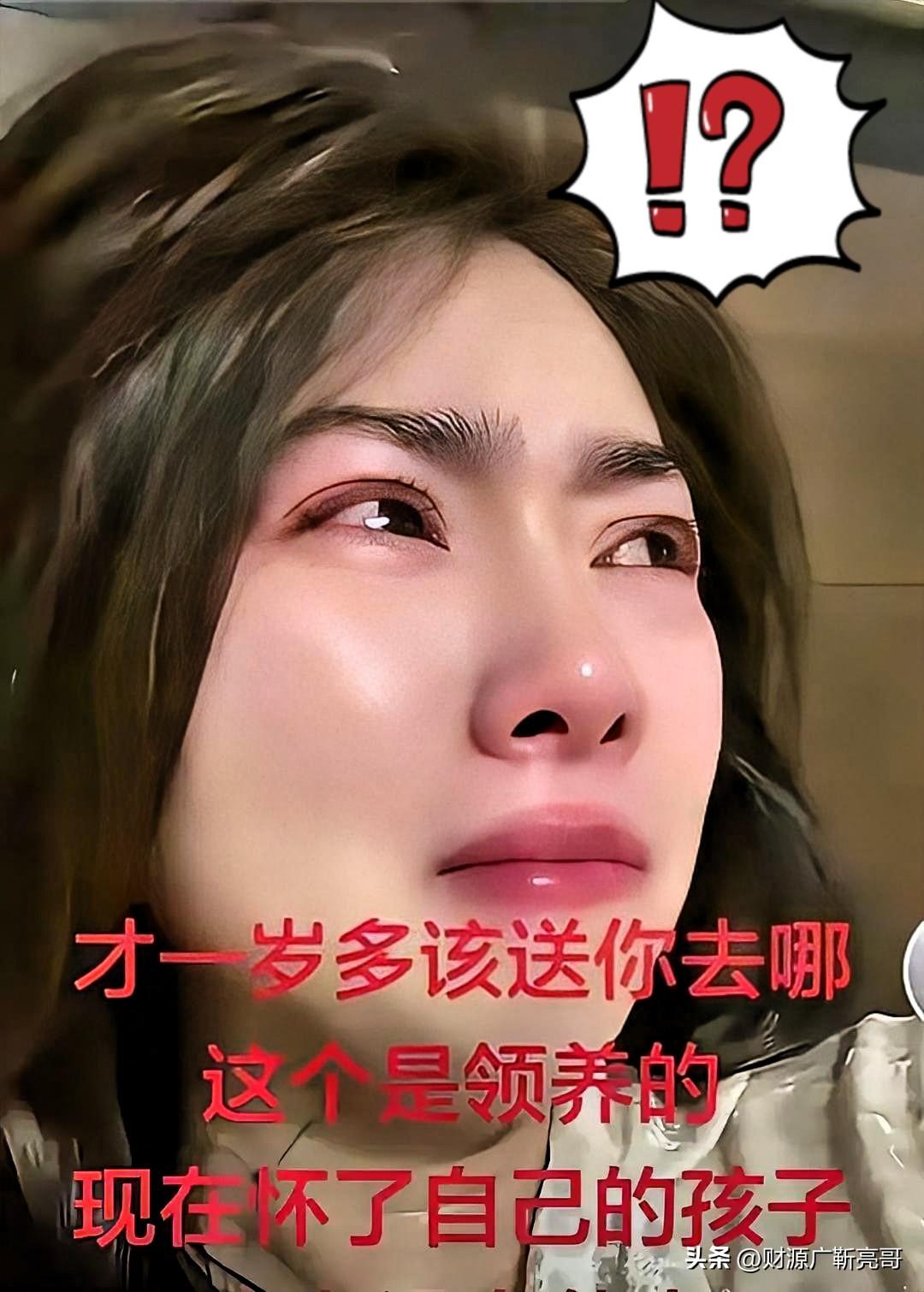 抱养的孩子刚满周岁，亲生的就来了。

这种事在民间有个说法，叫“领子”，说是领个