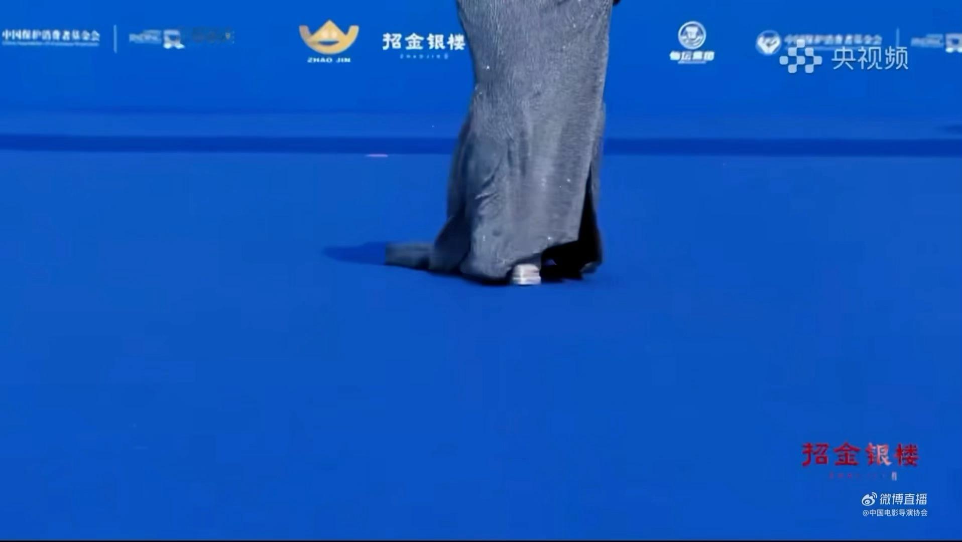 锤娜丽莎拗出了超S曲线 捕捉一只正在散发魅力的锤娜丽莎，这种不费吹灰之力的性感，