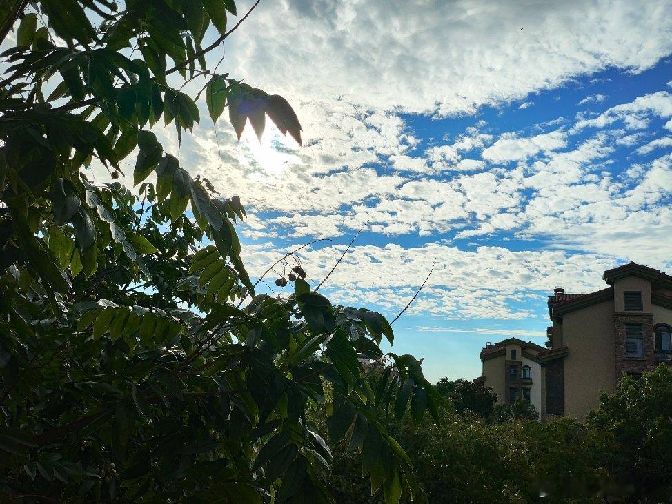 清晨，东方的天空，云如絮……用眼睛寻找美丽江南天天拍江南手影蓝天白云 马鞍山