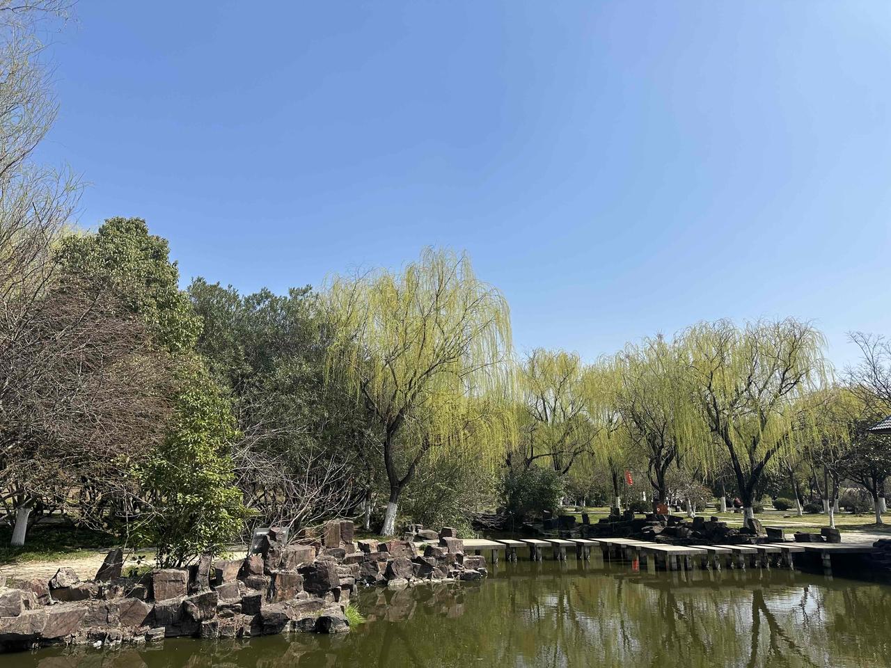 春日游园，绿意盎然，静享自然之美。