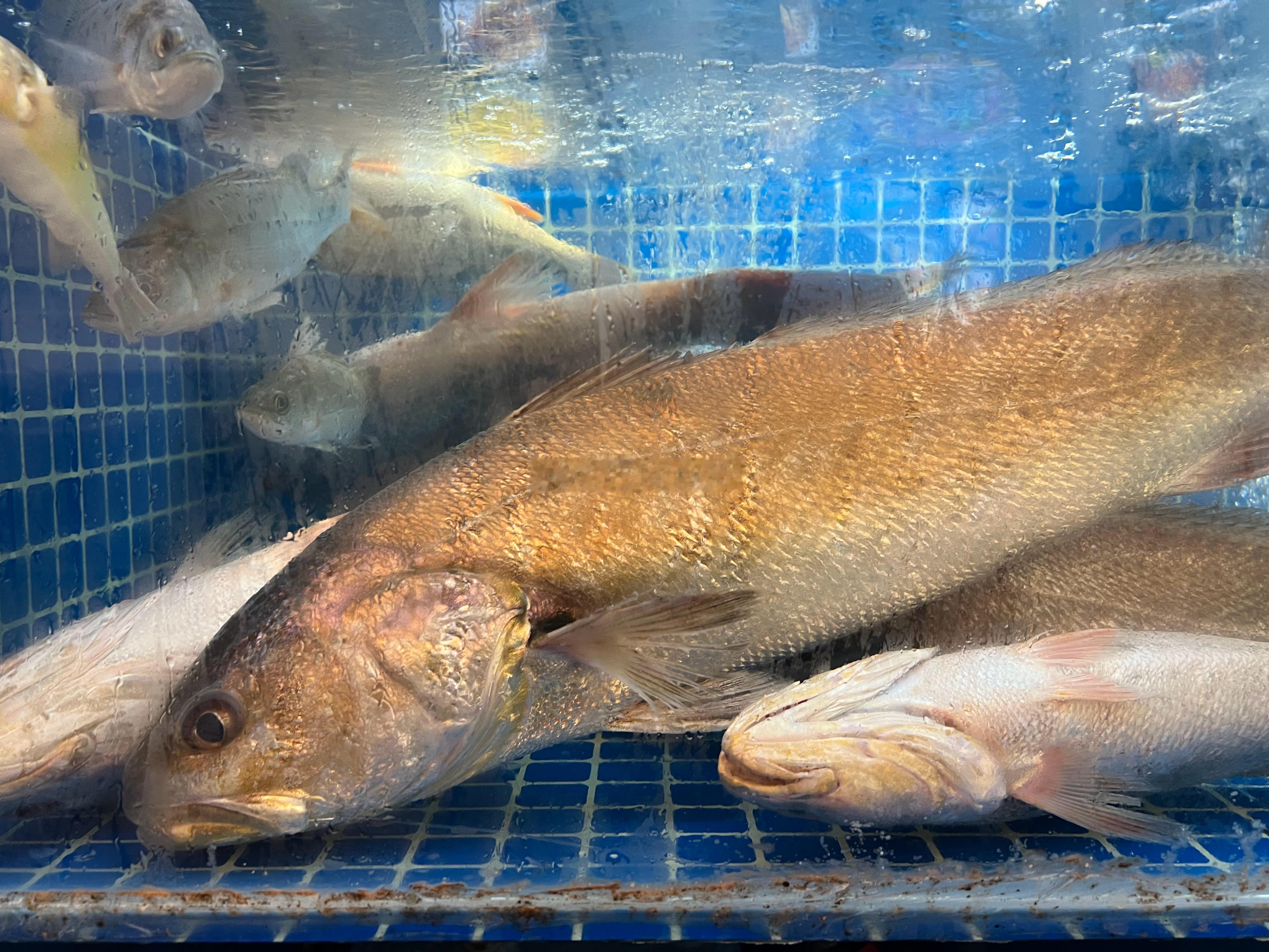 转瞬即逝…这几天海鲜吃多了，来一口梅干菜烧肉嘎嘎香，饿得慌。  ​​​