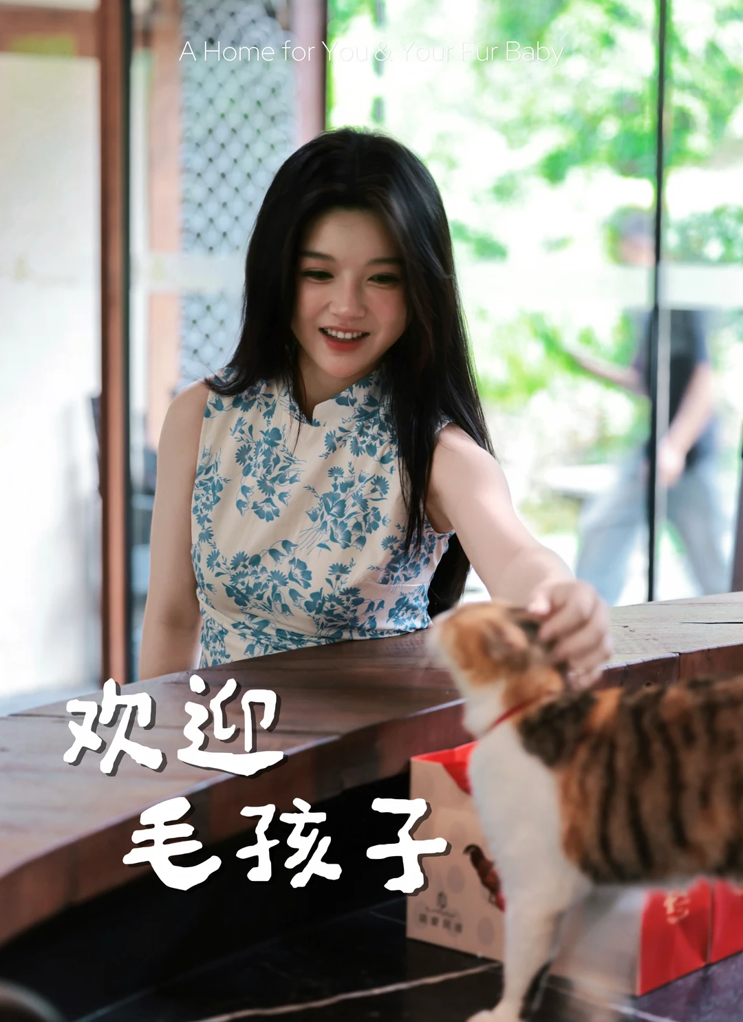 🐾江浙沪2h到达❗️养宠人闭眼冲的山野民宿