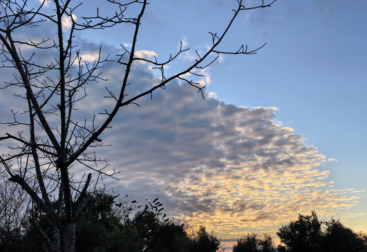 我首次姜家寨观鸟小记！
11日早，气温3度，6:35起床。姜家寨民宿地海拔174
