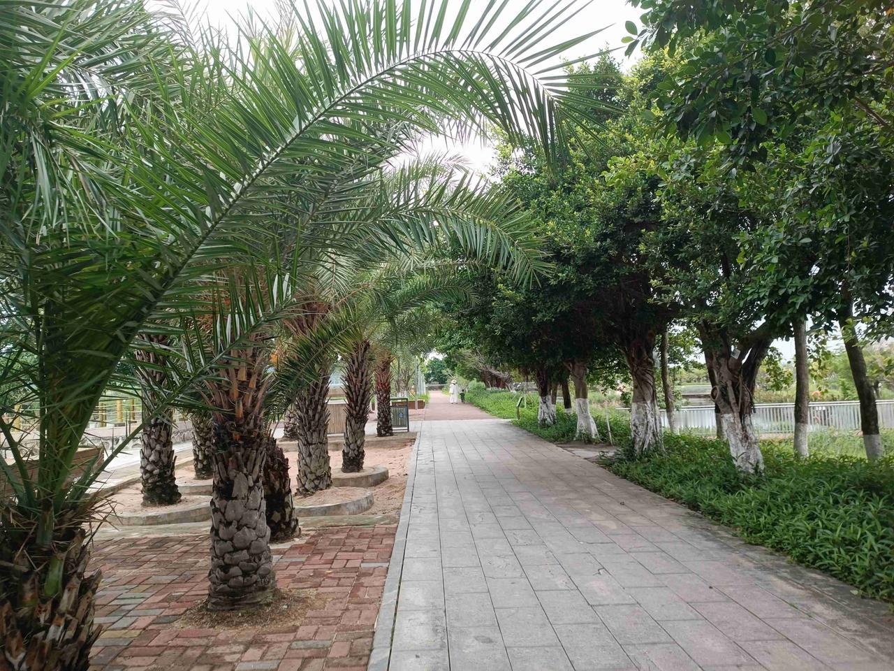 我的今日状态：🏃‍➡️运动
我这里的天气：☀️晴天