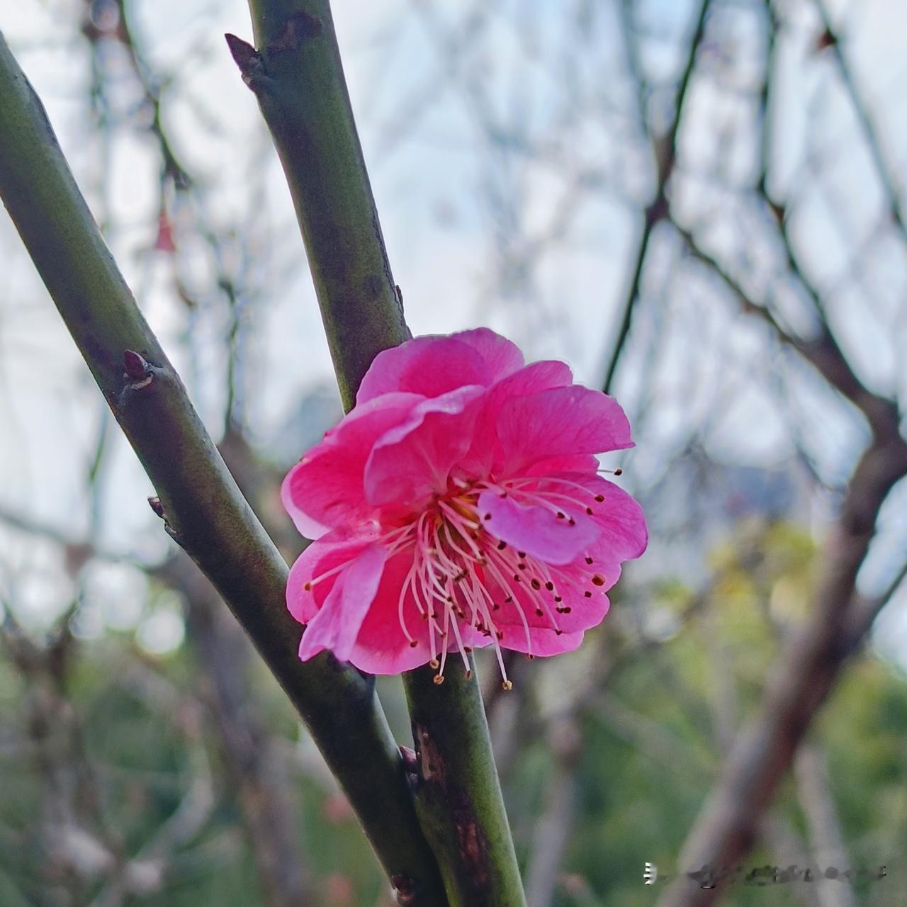 不上班的日子就是好
吃了睡，睡了又吃
天气好就往外面走走
天气不好就在家躺着
没