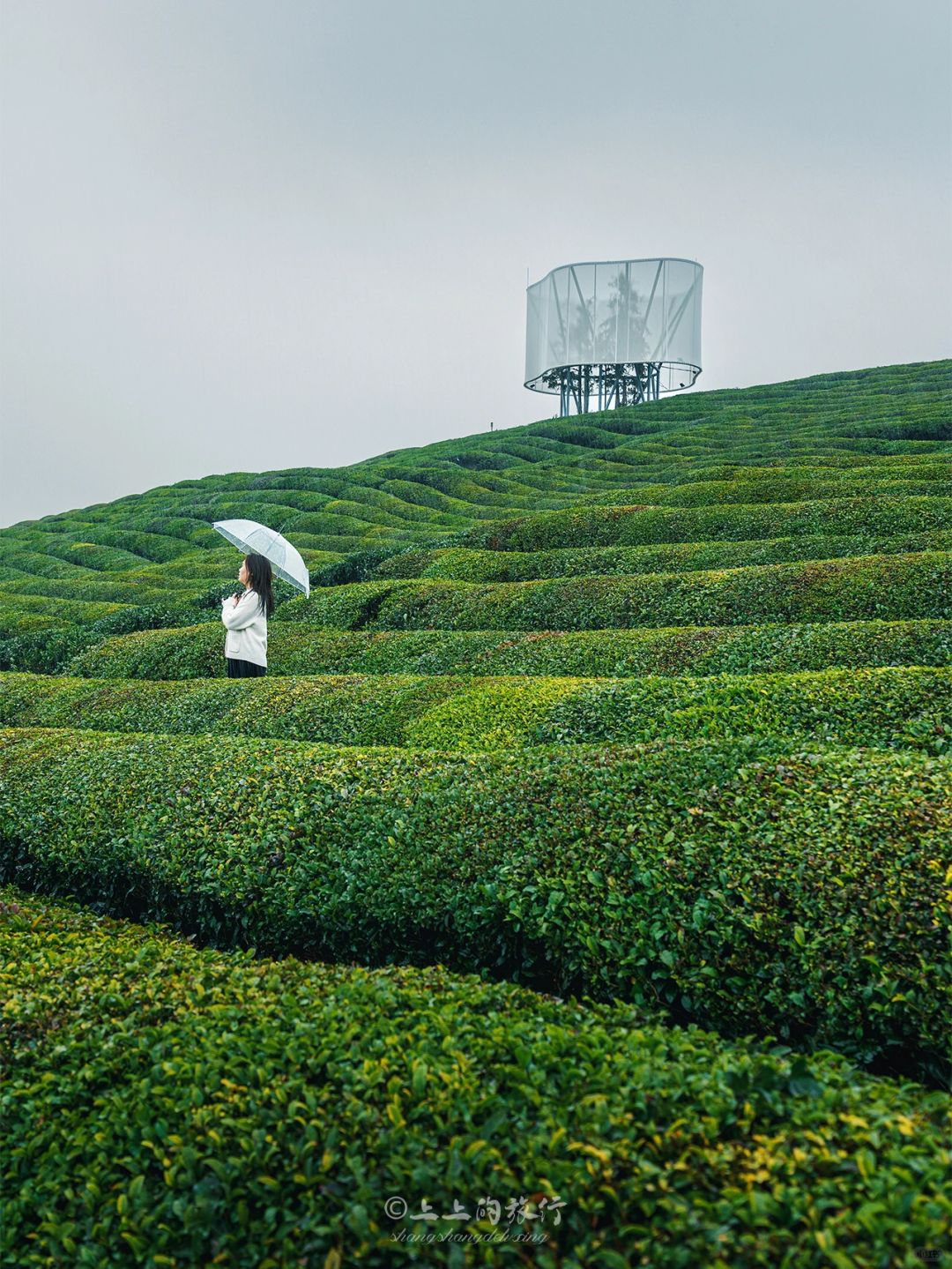 在跟风最成功的一次……（景德镇）