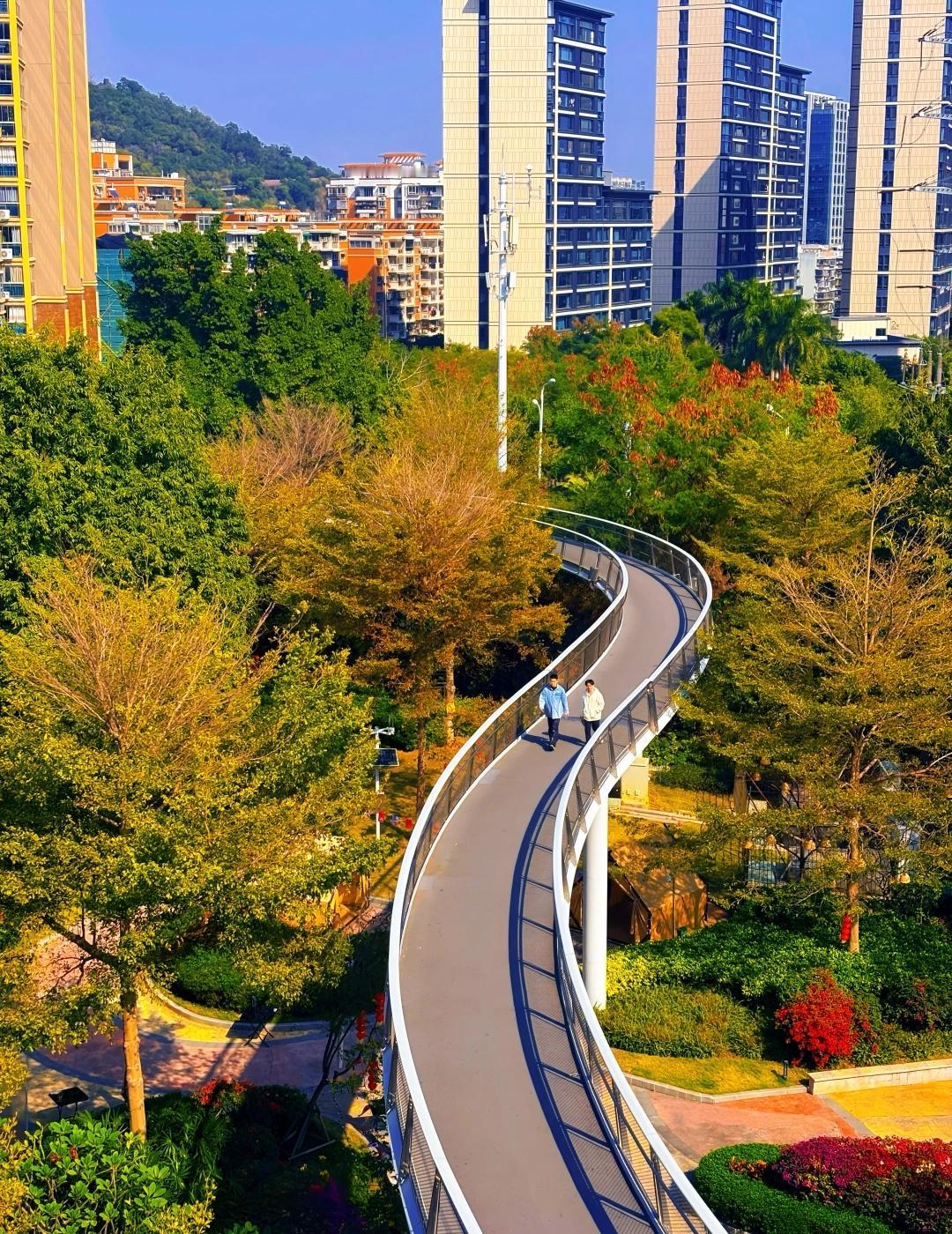 厦门不费腿的山海漫步，土地庙路线
喜欢用脚步丈量厦门的松弛感，踏上那条蜿蜒的“空