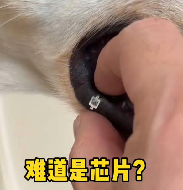 哎哟姐妹们，这故事比电视剧还跌宕！

苏州这位小姐姐吃个饭的功夫，花五百块从装修