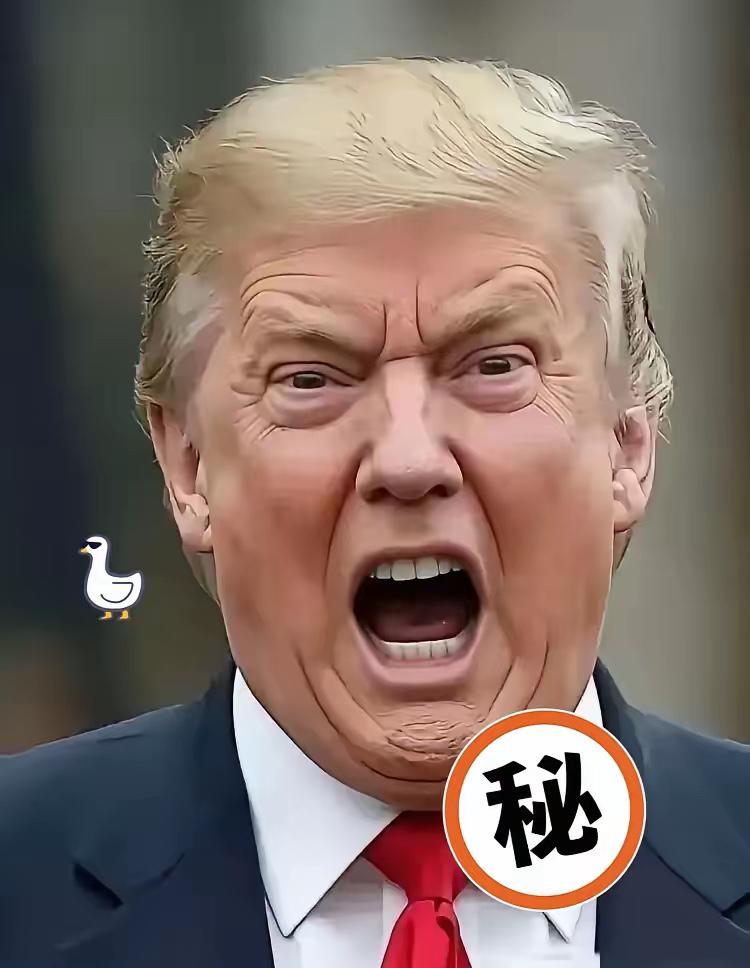 不能等，美国公开喊话中国:
​​当地时间27日，特朗普在迈阿udi出席活动时，面