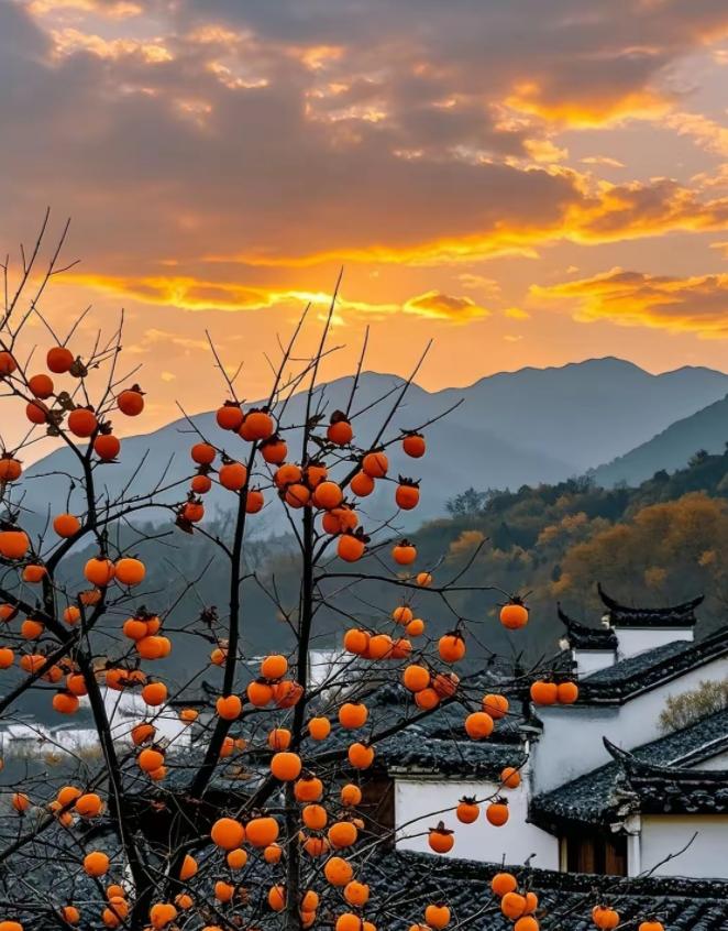 不知道大家有没有留意：清明扫墓时，越是家族兴旺、家风正的家庭，晚辈回来得越齐整 