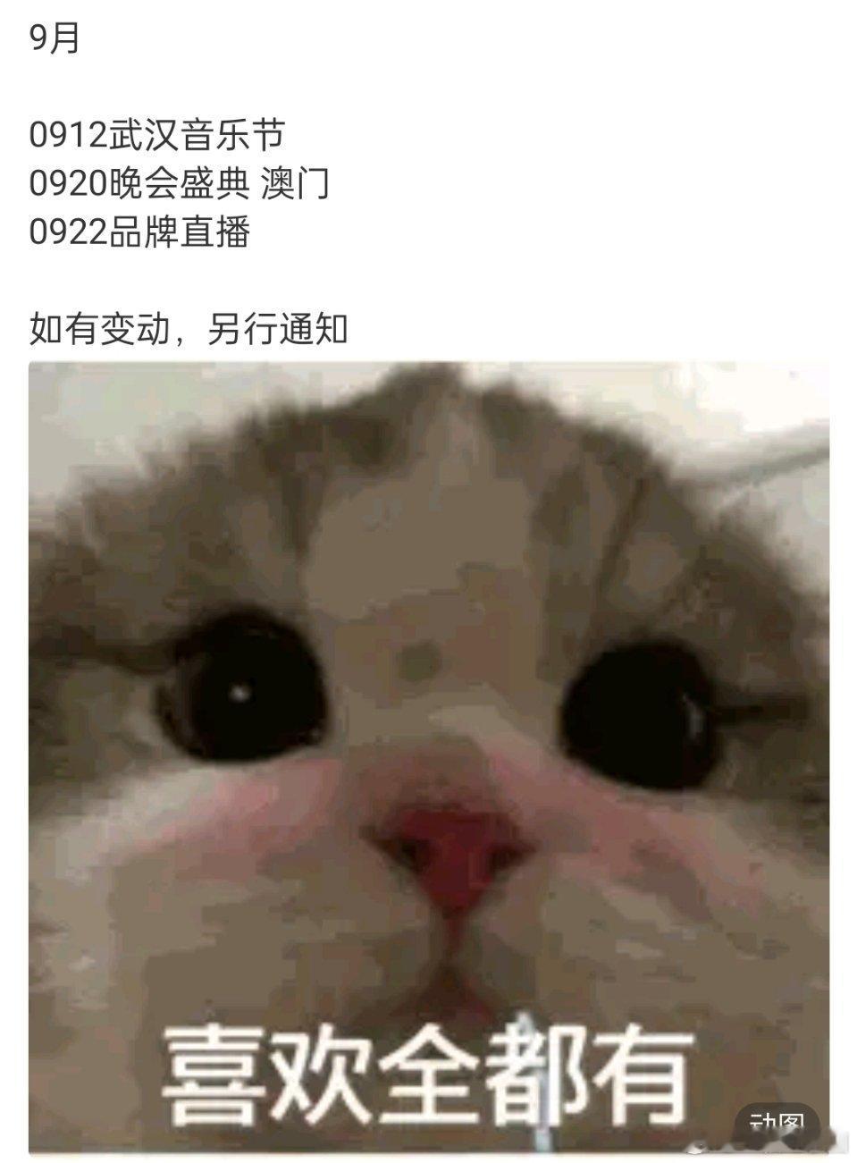 任嘉伦 九月行程！音乐节，澳门晚会，品牌直播，还有“喜欢全都有”！谁又幸福啦[期